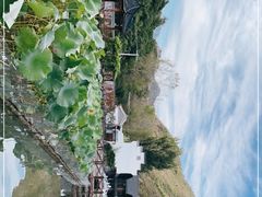 -荷塘味道(水长城店)