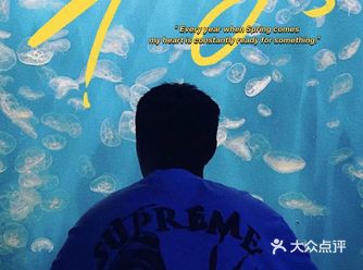 成都海立方|拍海底画报 