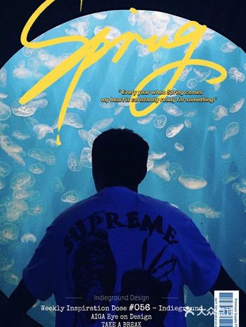 成都海立方|拍海底画报 