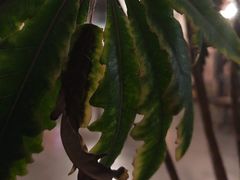 -谭记旺品(小谭山店)