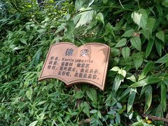 -上海佘山国家森林公园西佘山园