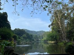-深圳仙湖植物园