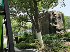 -合肥滨湖国家森林公园