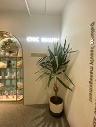 -CHIC 小资名妆