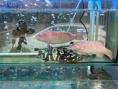 -金沙滩海鲜餐厅(梅江龙水园店)