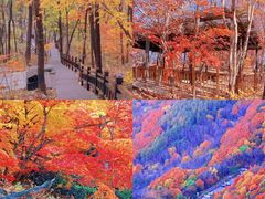 -五女山景区