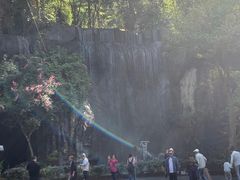 -西双版纳原始森林公园