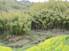 -灵山景区梯田