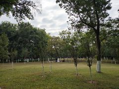 -东莞植物园