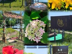 -西山漾湿地公园