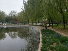 -泰丰公园