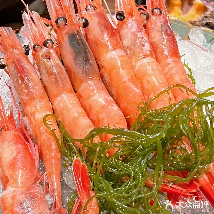 珠城云端日料放题·星龙吟 | 太享受🍸