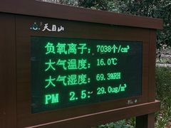 -天目山大树王景区