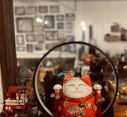 -脱白计划纹身集团