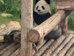 -大连森林动物园