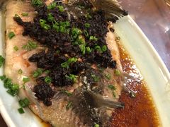 豆豉蒸鲟鱼-小土豆北方菜馆(文慧园店)