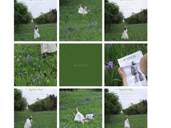 -白鹭湾湿地公园