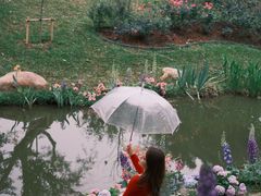 -人民公园(罗湖区)