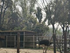 -武汉动物园