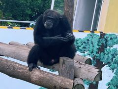 -西霞口神雕山野生动物世界