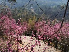 -天台山赤城山景区