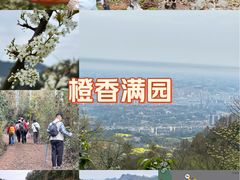 -樱桃山旅游景区