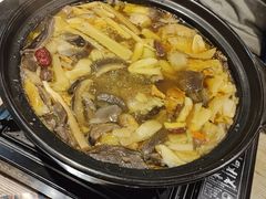 -马帮菜馆·美味野生菌