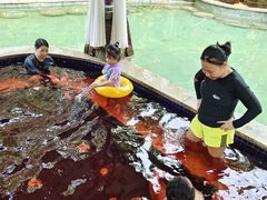 -碧桂园润杨溪谷温泉酒店