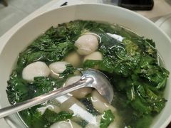 -丁老爷子苏香圆