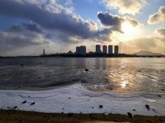 -烟墩角天鹅湖