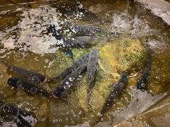 -井水小厨·湘菜(活力广场店)