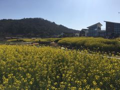 -南北湖风景区