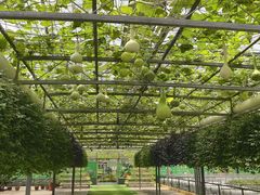 -兰陵国家农业公园