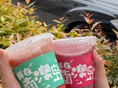 -南澳岛打卡果汁冰公司