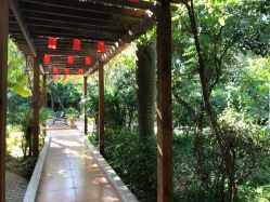 点击看大图 -宝生月子中心(独栋园林·福田店)