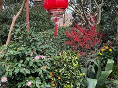 -中国茶叶博物馆(双峰馆区)