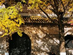 -灵谷景区