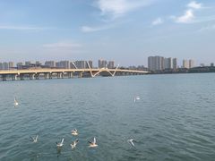 -蠡湖大桥公园