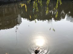 -华雅花园大酒店