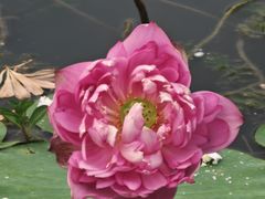-澹台湖公园