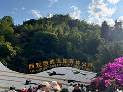 -西双版纳原始森林公园