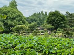 -杭州植物园