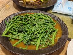 -安乐茶饭·手工素菜·高空景观餐厅(千灯湖店)