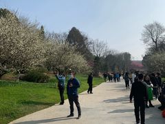 -秀丽东方