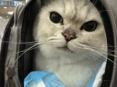 -芭比堂爱心动物医院·心脏科·犬猫内科(越城可乐分院)