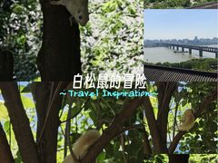 -龟山风景区-龟山电视塔