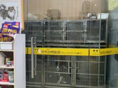 -米苏动物医院·犬猫专科·骨科外科内窥镜