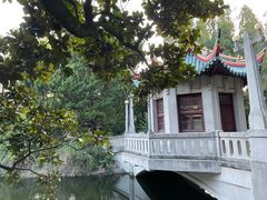 -叶家花园