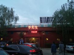 -羊先生