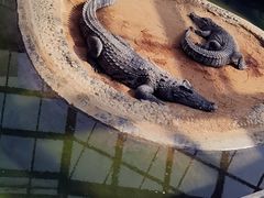 -太原动物园
